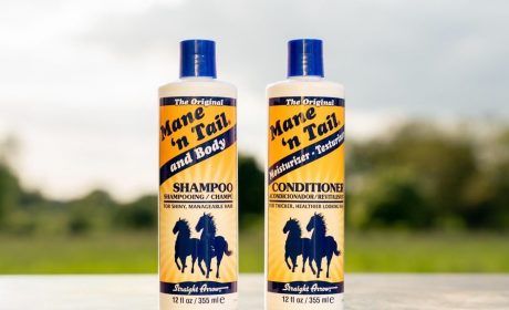 MANE N TAIL Original Shampoo